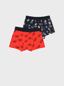 Трусы-боксеры для мальчика, 2 шт. в комплекте