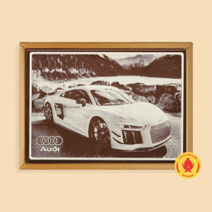 Audi (600 грамм)