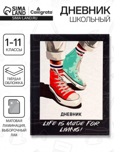 Дневник школьный для 1-11 классов, «Кеды зелено-красные», твёрдая обложка 7БЦ, матовая ламинация, выборочный лак, 40 листов