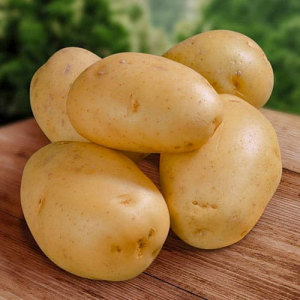 Картофель Прайм