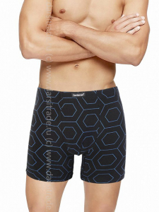 Трусы мужские GS8046 Gentlemen шорты