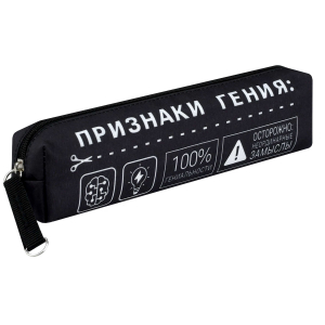 Пенал Феникс+, 20х4х4.5 см, микрофибра на ПВХ-основе, сублимационная печать, без наполнения