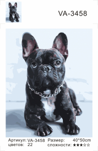 VA3458 Без подрамника картина по номерам 40*50