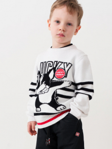 Джемпер для мальчика