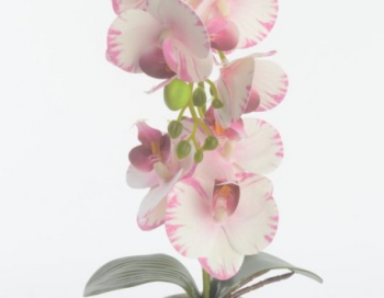 Искусственные цветы, Композиция орхидея фаленопсис в кашпо