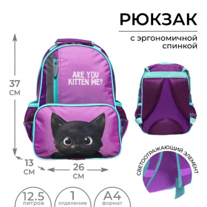 Рюкзак школьный, 37?26?13 см, эргономичная спинка, «Котик чёрный»