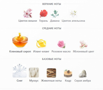 Moth and Rabbit Perfumes Dolls 50ml