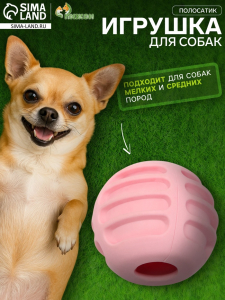 Мяч для собак «Полосатик», 6 см, рифлёный, TPR, розовый