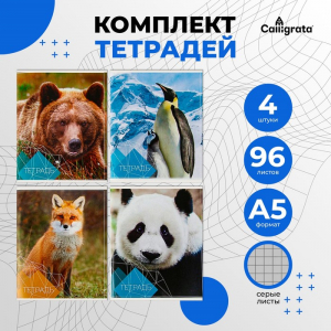 Комплект тетрадей из 4 штук, 96 листов в клетку Calligrata 