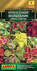 1504A Колеус блюме Волшебник, смесь сортов 5шт