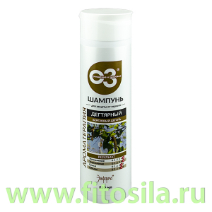 Шампунь Очищение и здоровье Дегтярный 250 мл  