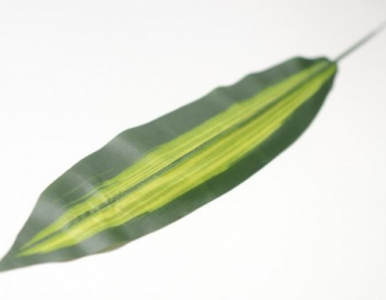 Искусственные цветы, Ветки из листа драцены (1010237) зеленый