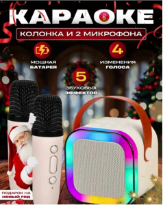 Музыкальная беспроводная колонка с двумя микрофонами (3639)