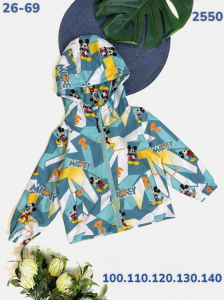 Ветровка 2550 изумруд