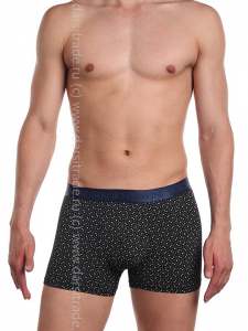 SG2950-1 Трусы мужские Дроп Sergio Dallini боксеры