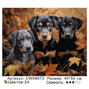 CWA8672 Под заказ