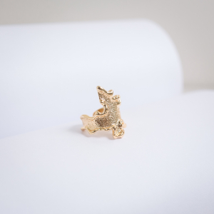 Кольцо Leoric G