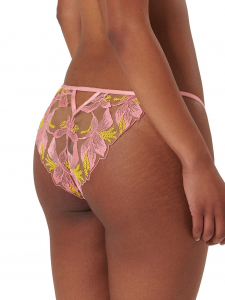 Patrice Brief