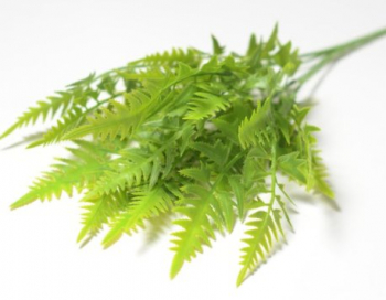 Искусственные цветы, Ветка в букете папоротника 5 веток (1010237)