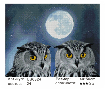 US0324 Без подрамника мозаика 40*50