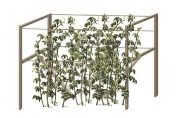 Опора для малины зеленая «НАЙДИ»