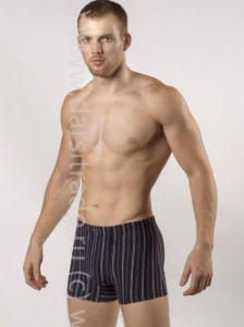 Трусы мужские GS7242 Gentlemen шорты