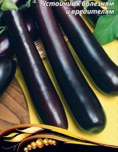 Баклажан Сизый нос (Селекция 