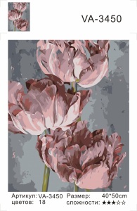 VA3450 Без подрамника картина по номерам 40*50