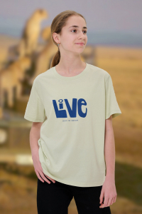 футболка для девочки Д 0120-30 -50%