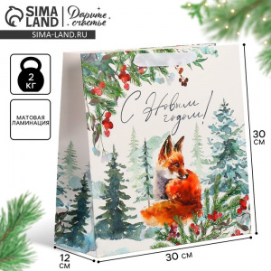 Пакет подарочный новогодний ламинированный квадратный Forest, 30?30?12 см