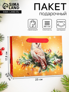Пакет подарочный новогодний ламинированный «Совушка», 23?17.8?9.8 см