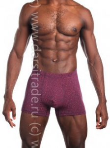 SG2941-2 Трусы мужские Дроп Sergio Dallini боксеры