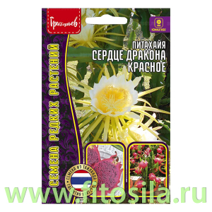 Питахайя Сердце Дракона Красное 5шт. (семена для проращивания)