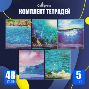 Комплект тетрадей из 5 штук (4 разные + 1 повторяющаяся), 48 листов в клетку Calligrata 