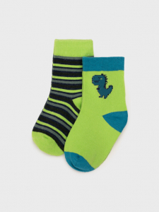 Носки для мальчика, 2 пары в комплекте