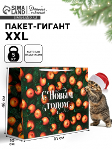 Пакет новогодний ламинированный подарочный «С Новым годом», XXL 61?46?20 см
