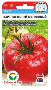Томат Картофельный Малиновый Сиб.Са