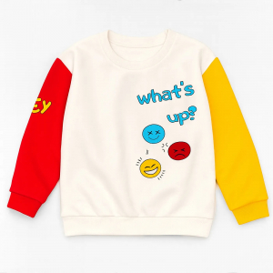 Толстовка футер 2х нитка начёс 1689310102