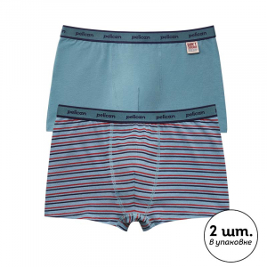 BUHB3378(2) набор трусов для мальчиков (2 шт в кор.)
