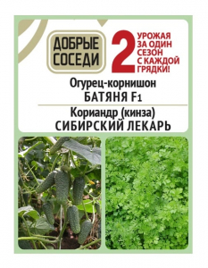 Огурец-корнишон БАТЯНЯ F1 и Кориандр (кинза) СИБИРСКИЙ ЛЕКАРЬ