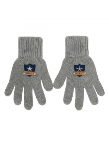 Перчатки Землянин