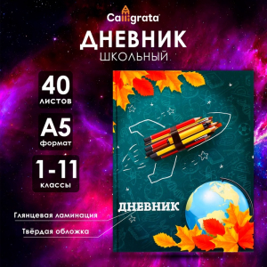 Дневник школьный для 1-11 классов, «Школа», твёрдая обложка 7БЦ, глянцевая ламинация, 40 листов