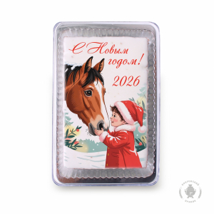 Девочка и лошадь 