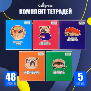 Тетради 5 штук, 48 листов в клетку «Мопс», обложка мелованный картон, блок офсет