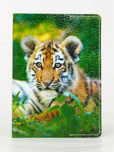 Обложка для паспорта VITA2