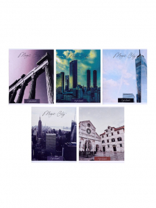 Тетрадь 48 листов в клетку, Calligrata «Города», серые листы, МИКС