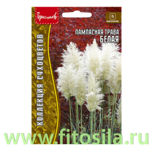Пампасная трава Белая (Кортадерия) 0,01г. (семена для проращивания)