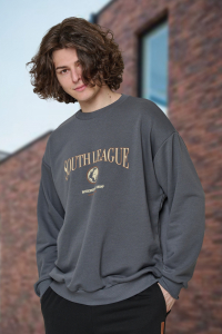 толстовка мужская 3504-23 Новинка