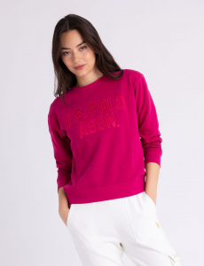 SATEEN APPLIQUE GRAPHIC CREW POPOVER