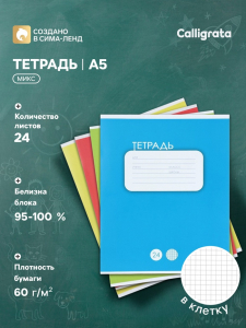 Тетрадь 24 листа в клетку Calligrata «Однотонная. Классика», обложка мелованный картон, ВД-лак, блок офсет, белизна 95%, МИКС